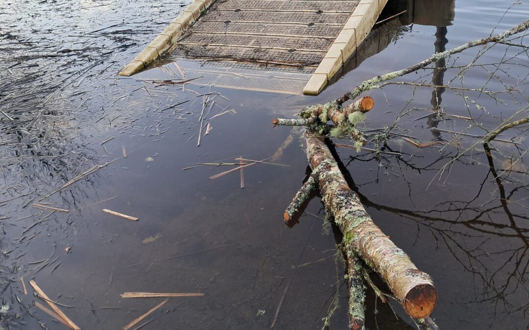 Rotary Table Quiz Raises €2,500 for Gráine Mhaol Dragon Boat Club